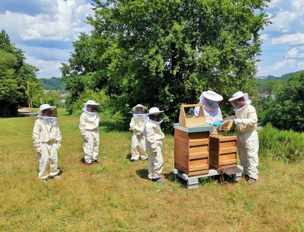AG Bienen Honigschleudern 2020 1