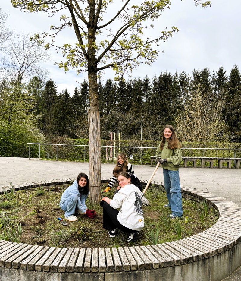 Schulgarten 2024 1